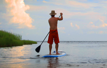 Outer Banks Stand Up Paddle Board Tours | SUP Tours | Outer Banks | NC - Pine Island Audubon Sanctuary