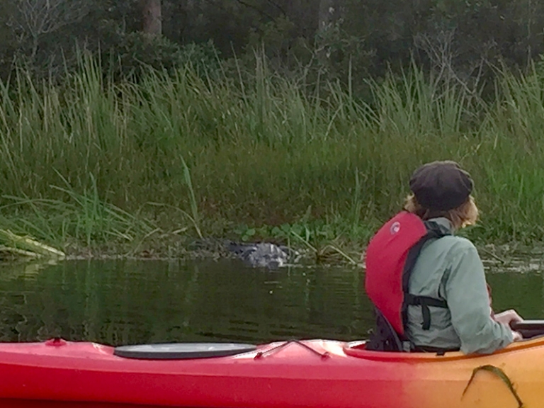 Alligator River Kayak Tours 1 Rated Tour by Coastal Kayak