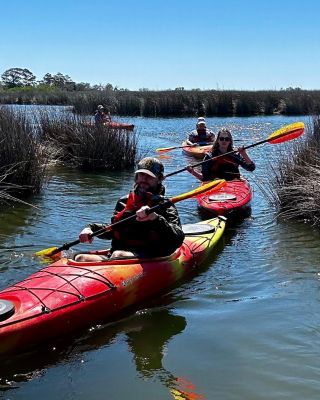Outer Banks Kayak Tours • #1 Rated • National Geographic Top Adventure